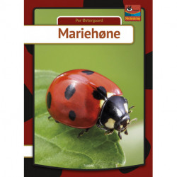 Mariehøne