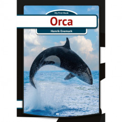 Orca