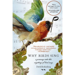 Why Birds Sing: A Journey Into the Mystery of Bird Song