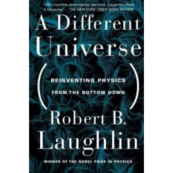 A Different Universe: Reinventing Physics From the Bottom Down