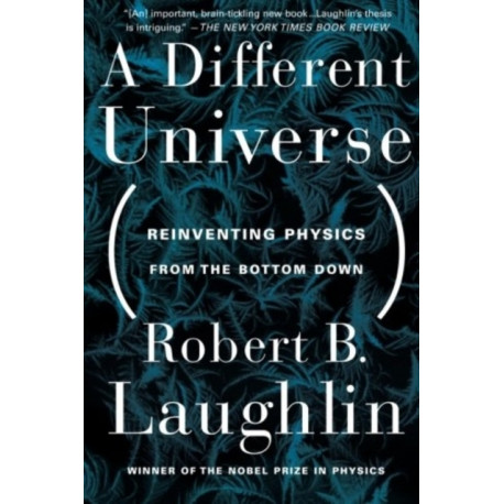 A Different Universe: Reinventing Physics From the Bottom Down