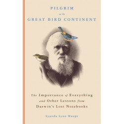 Pilgrim On The Great Bird Continent
