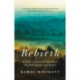 Rebirth: A Fable of Love, Forgiveness, and Following Your Heart