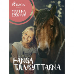 Fånga tjuvryttarna