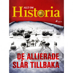 De allierade slår tillbaka