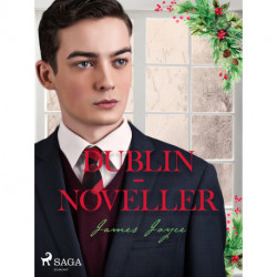 Dublin-noveller