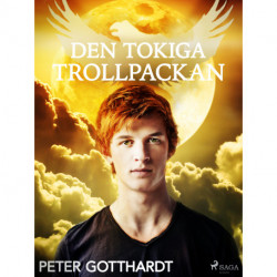 Den magiska falken 1: Den tokiga trollpackan