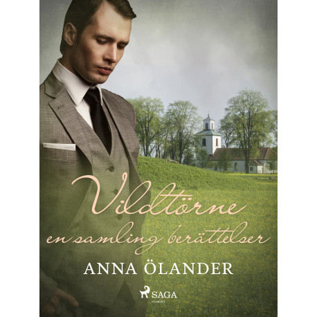 Vildtörne: en samling berättelser