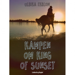 Kampen om King of Sunset