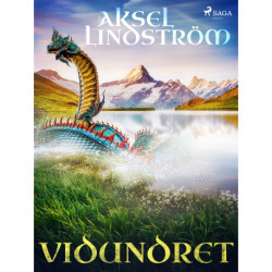 Vidundret