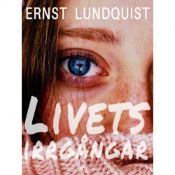 Livets irrgångar