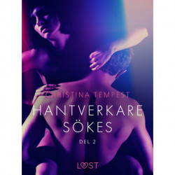 Hantverkare sökes Del 2 - erotisk novell