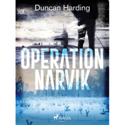 Operation Narvik