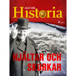 Hjältar och skurkar