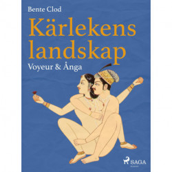 Kärlekens landskap 7: Voyeur & Ånga