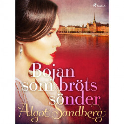 Bojan som bröts sönder