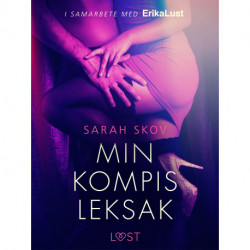 Min kompis leksak - erotisk novell