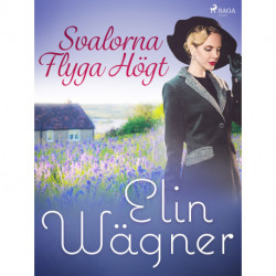 Svalorna Flyga Högt