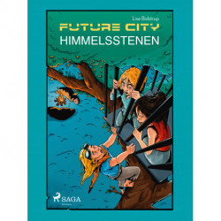 Future city 2: Himmelsstenen