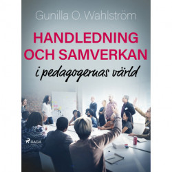 Handledning och samverkan i pedagogernas värld