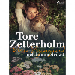 Stora Hoparegränd och himmelriket