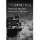 Tybrind Vig: Submerged Mesolithic settlements in Denmark