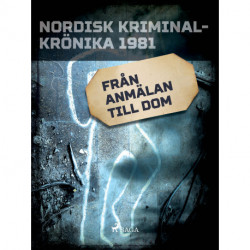 Från anmälan till dom