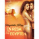 En resa till Egypten - erotisk novell