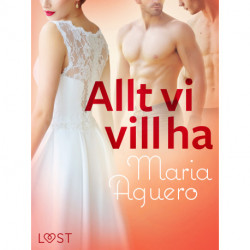 Allt vi vill ha - erotisk novell