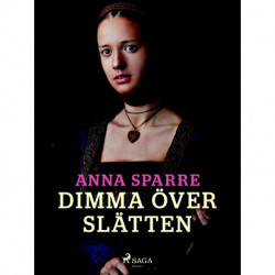 Dimma över slätten