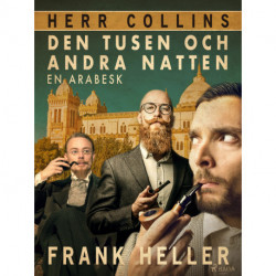 Den tusen och andra natten: en arabesk