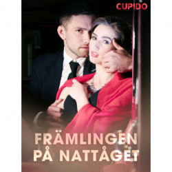 Främlingen på nattåget