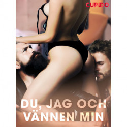 Du, jag och vännen min