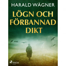 Lögn och förbannad dikt