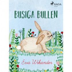 Busiga Bullen