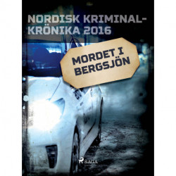 Mordet i Bergsjön