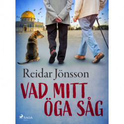 Vad mitt öga såg