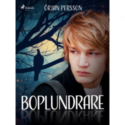 Boplundrare