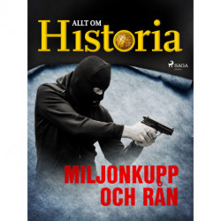 Miljonkupp och rån