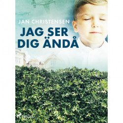 Jag ser dig ändå