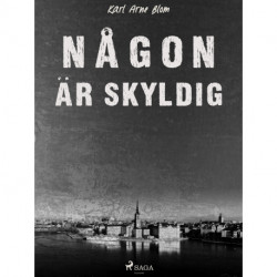 Någon är skyldig