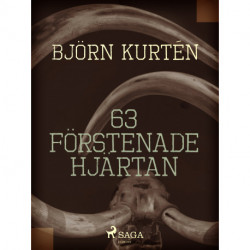 63 förstenade hjärtan
