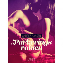 Parkeringsvakten - erotisk novell