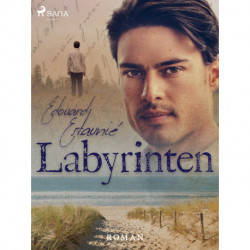 Labyrinten: Roman