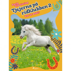Tjejerna på ridklubben 2 - Var är Bubi?