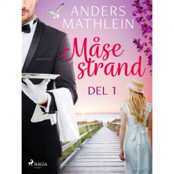 Måsestrand del 1