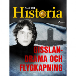 Gisslandrama och flygkapning