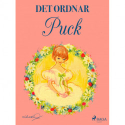 Det ordnar Puck