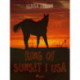 King of Sunset i USA