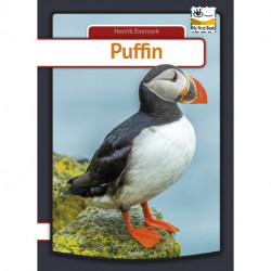 Puffin